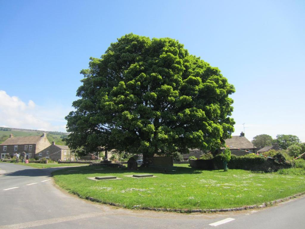 Отель Bolton Arms Redmire Экстерьер фото